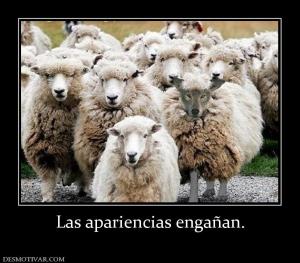 Las apariencias engañan.