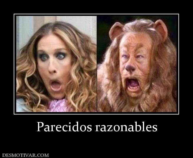 Parecidos razonables