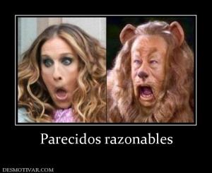 Parecidos razonables