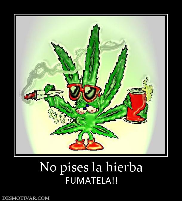 No pises la hierba FUMATELA!!