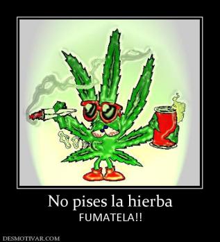 No pises la hierba FUMATELA!!