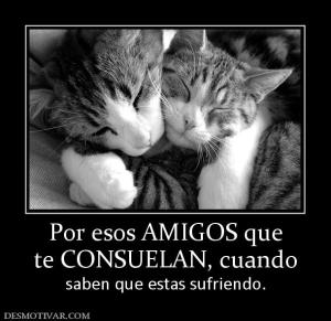Por esos AMIGOS que te CONSUELAN, cuando saben que estas sufriendo.