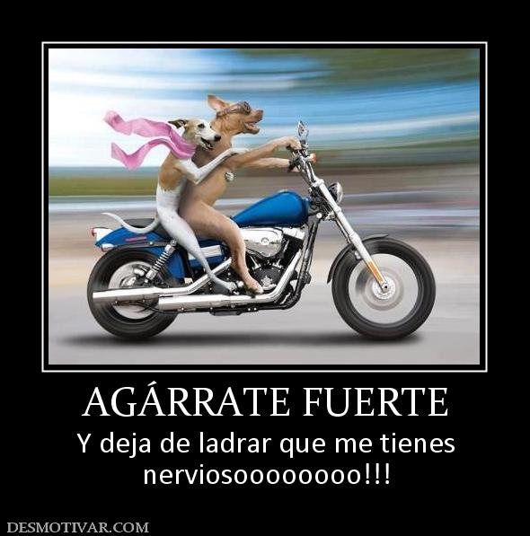 AGÁRRATE FUERTE Y deja de ladrar que me tienes nerviosoooooooo!!!
