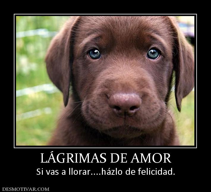 LÁGRIMAS DE AMOR Si vas a llorar....házlo de felicidad.