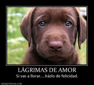 LÁGRIMAS DE AMOR Si vas a llorar....házlo de felicidad.