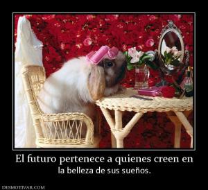 El futuro pertenece a quienes creen en la belleza de sus sueños.