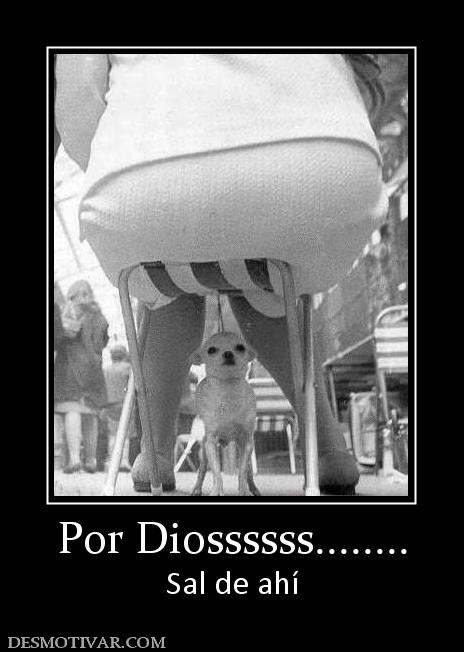 Por Diossssss........ Sal de ahí