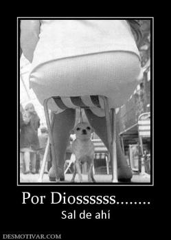 Por Diossssss........ Sal de ahí