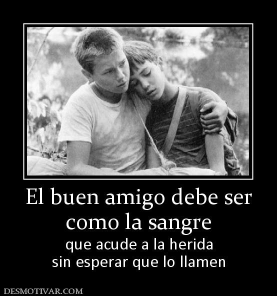 El buen amigo debe ser como la sangre que acude a la herida sin esperar que lo llamen