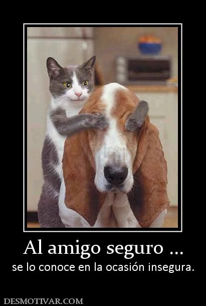 Al amigo seguro ... se lo conoce en la ocasión insegura.