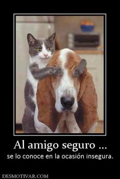 Al amigo seguro ... se lo conoce en la ocasión insegura.