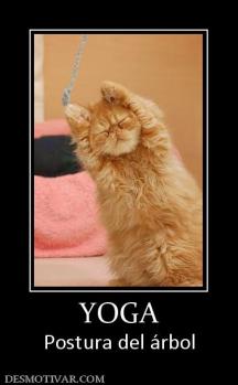 YOGA Postura del árbol