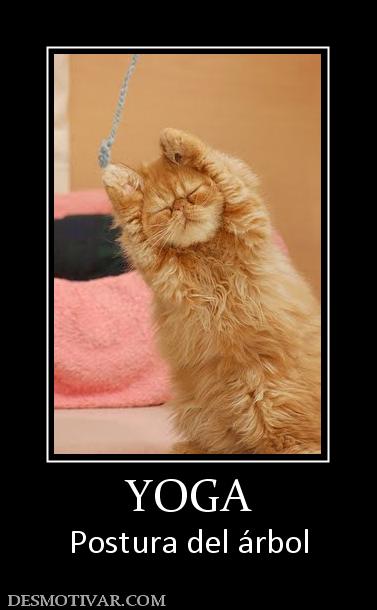 YOGA Postura del árbol