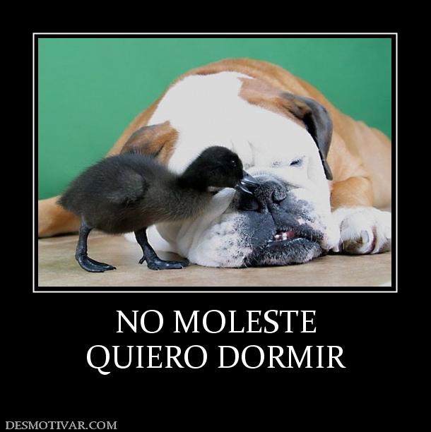NO MOLESTE QUIERO DORMIR