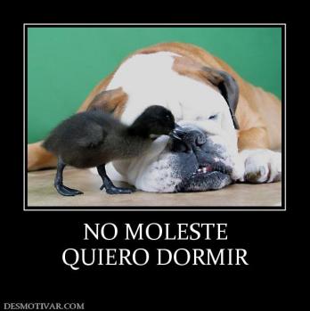 NO MOLESTE QUIERO DORMIR
