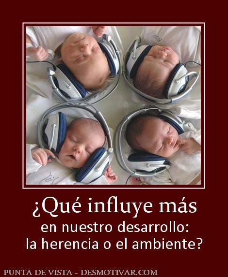 ¿Qué influye más en nuestro desarrollo: la herencia o el ambiente?