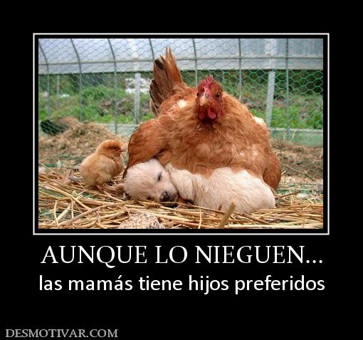 AUNQUE LO NIEGUEN... las mamás tiene hijos preferidos