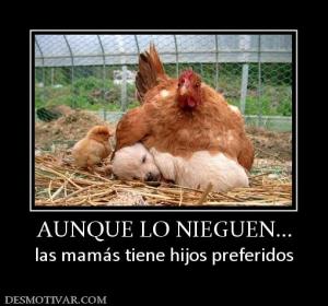 AUNQUE LO NIEGUEN... las mamás tiene hijos preferidos