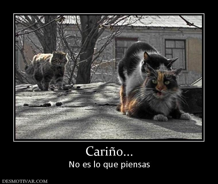 Cariño... No es lo que piensas