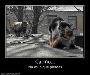 Cariño... No es lo que piensas