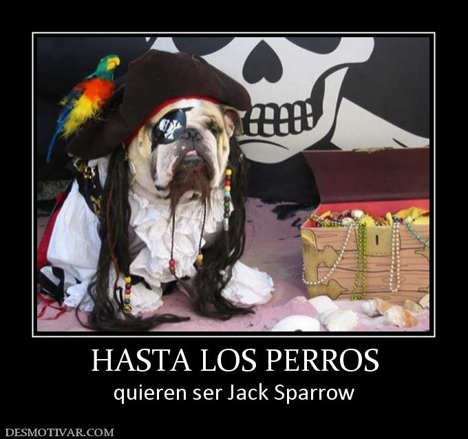 HASTA LOS PERROS quieren ser Jack Sparrow