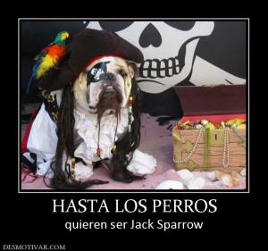HASTA LOS PERROS quieren ser Jack Sparrow