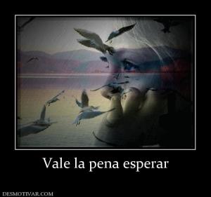 Vale la pena esperar