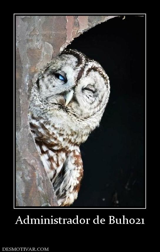 Administrador de Buho21