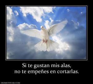 Si te gustan mis alas, no te empeñes en cortarlas.