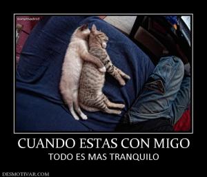 CUANDO ESTAS CON MIGO TODO ES MAS TRANQUILO