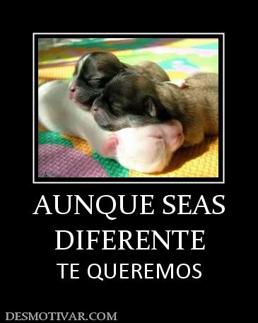 AUNQUE SEAS DIFERENTE TE QUEREMOS