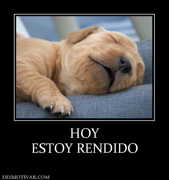 HOY ESTOY RENDIDO