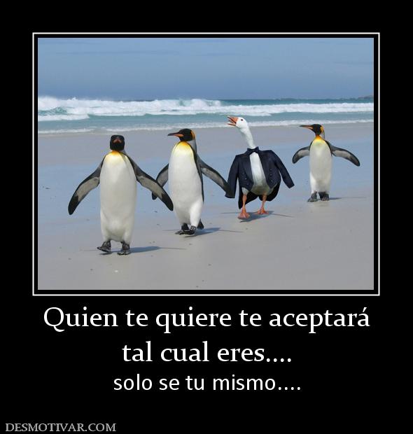 Quien te quiere te aceptará tal cual eres.... solo se tu mismo....