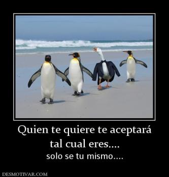 Quien te quiere te aceptará tal cual eres.... solo se tu mismo....