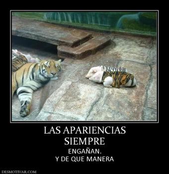 LAS APARIENCIAS SIEMPRE ENGAÑAN. Y DE QUE MANERA