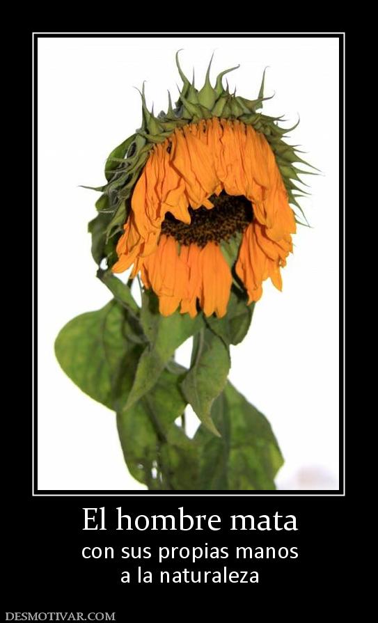 El hombre mata con sus propias manos a la naturaleza