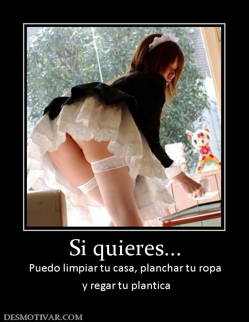Si quieres... Puedo limpiar tu casa, planchar tu ropa  y regar tu plantica