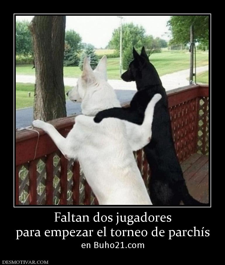 Faltan dos jugadores para empezar el torneo de parchís  en buho21.org