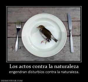 Los actos contra la naturaleza engendran disturbios contra la naturaleza.