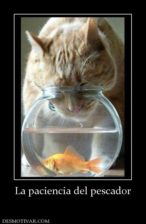 La paciencia del pescador