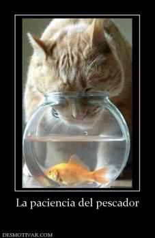 La paciencia del pescador