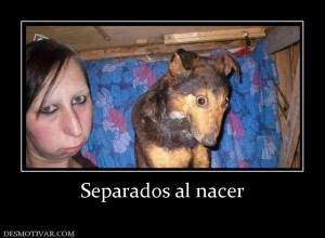 Separados al nacer