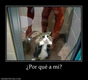¿Por qué a mi?