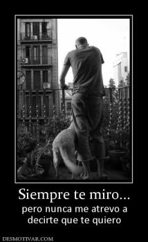 Siempre te miro... pero nunca me atrevo a decirte que te quiero