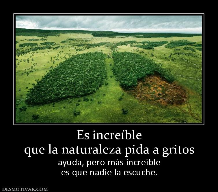 9346_es_increible_que_la_naturaleza_pida