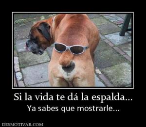Si la vida te dá la espalda... Ya sabes que mostrarle...