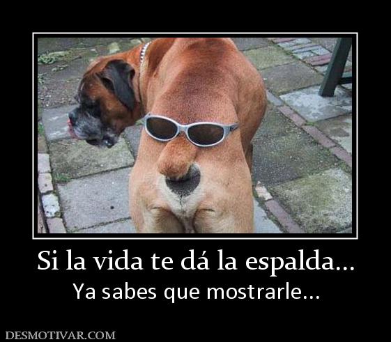 Si la vida te dá la espalda... Ya sabes que mostrarle...