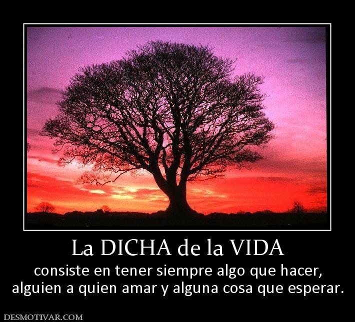 La DICHA de la VIDA consiste en tener siempre algo que hacer, alguien a quien amar y alguna cosa que esperar.