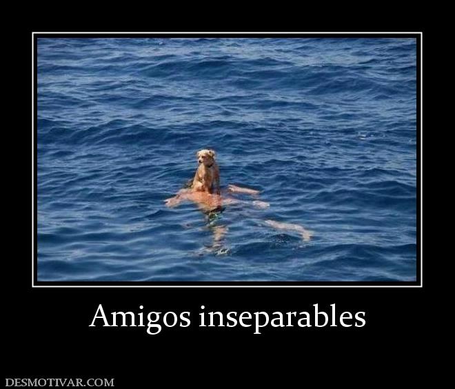 Amigos inseparables