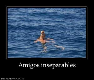 Amigos inseparables